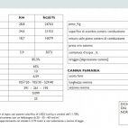 Termocamino idro a legna Climacalor IDROPLUS C/80